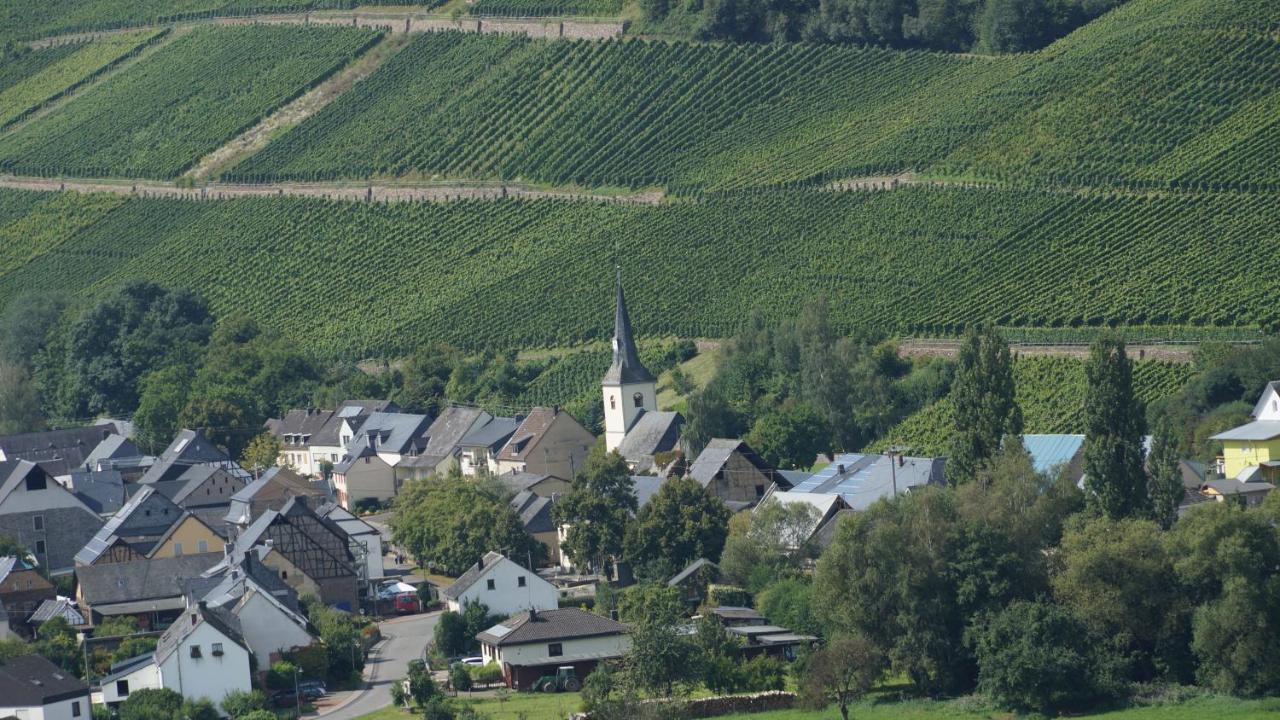 Altes Winzerhaus -